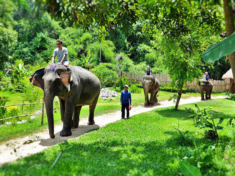 Private, Luxury & SIC tours of Indochina with TransViet Travel