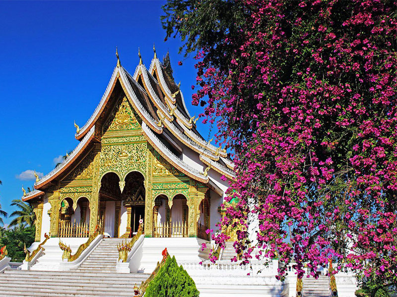 Private, Luxury & SIC tours of Indochina with TransViet Travel