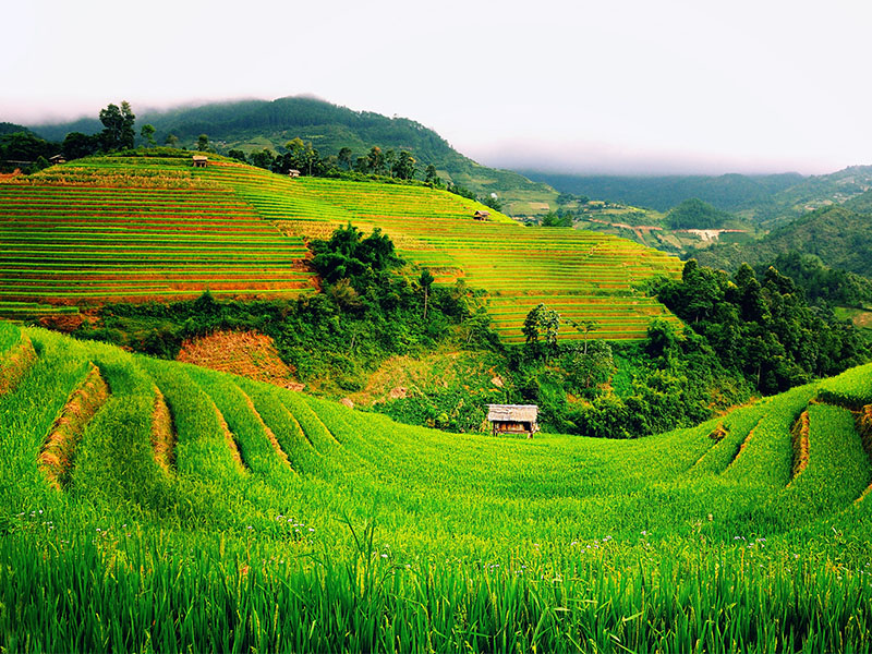 Private, Luxury & SIC tours of Indochina with TransViet Travel