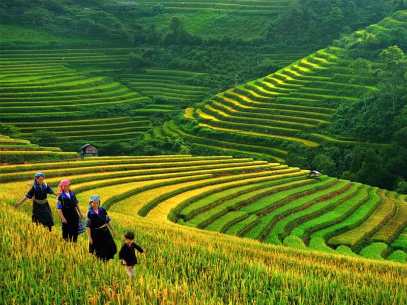 Private, Luxury & SIC tours of Indochina with TransViet Travel