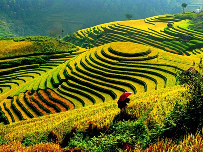 Private, Luxury & SIC tours of Indochina with TransViet Travel