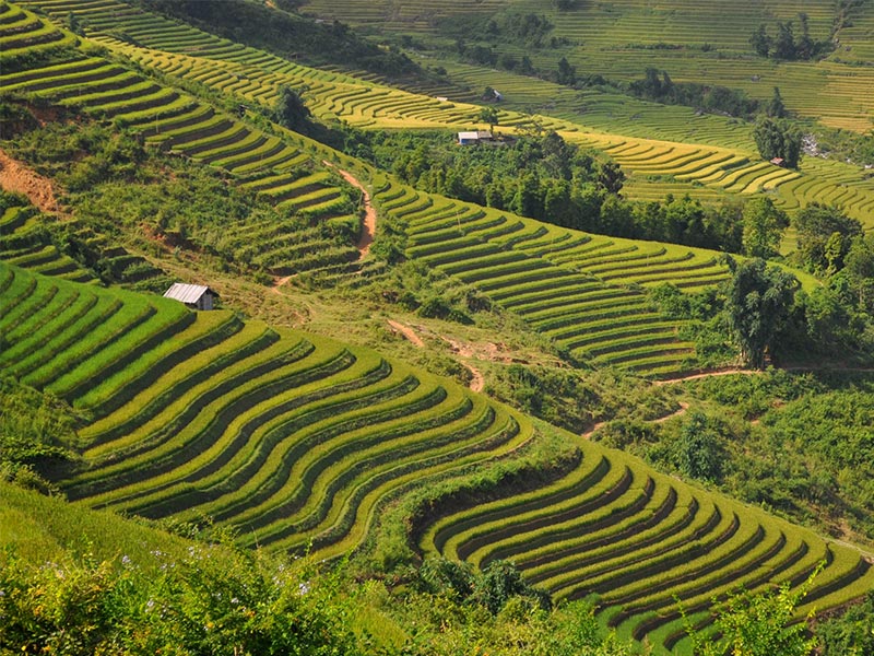 Private, Luxury & SIC tours of Indochina with TransViet Travel