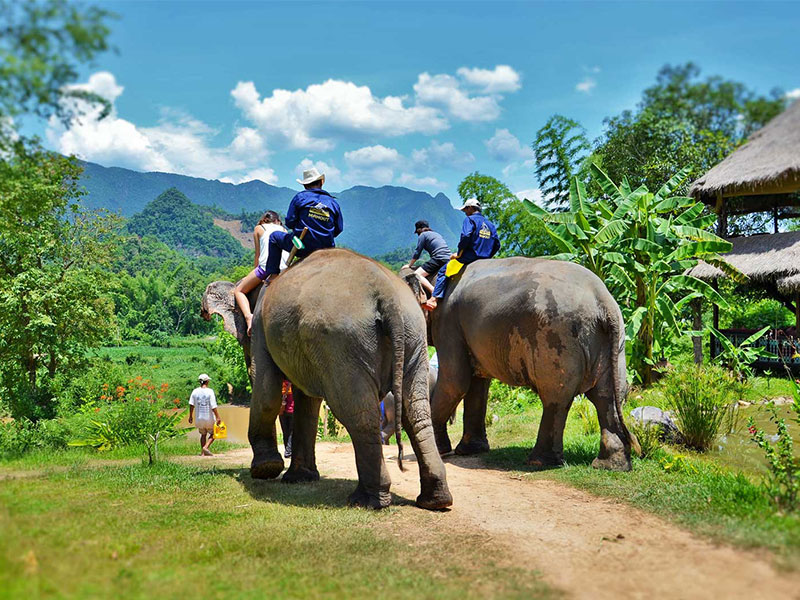 Private, Luxury & SIC tours of Indochina with TransViet Travel