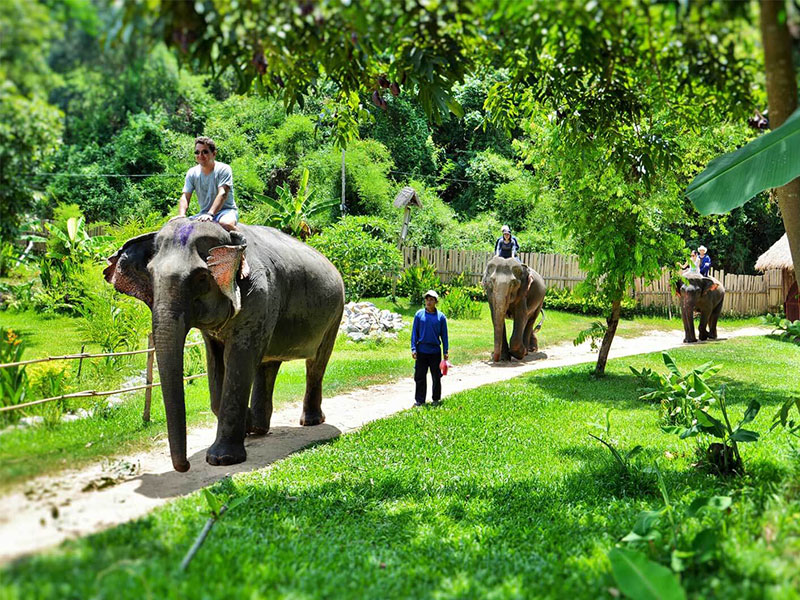 Private, Luxury & SIC tours of Indochina with TransViet Travel