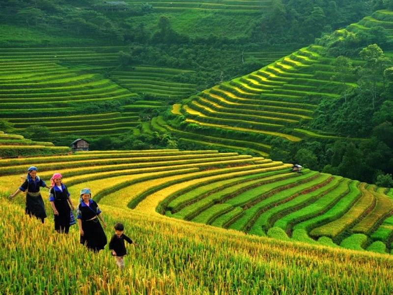 Private, Luxury & SIC tours of Indochina with TransViet Travel