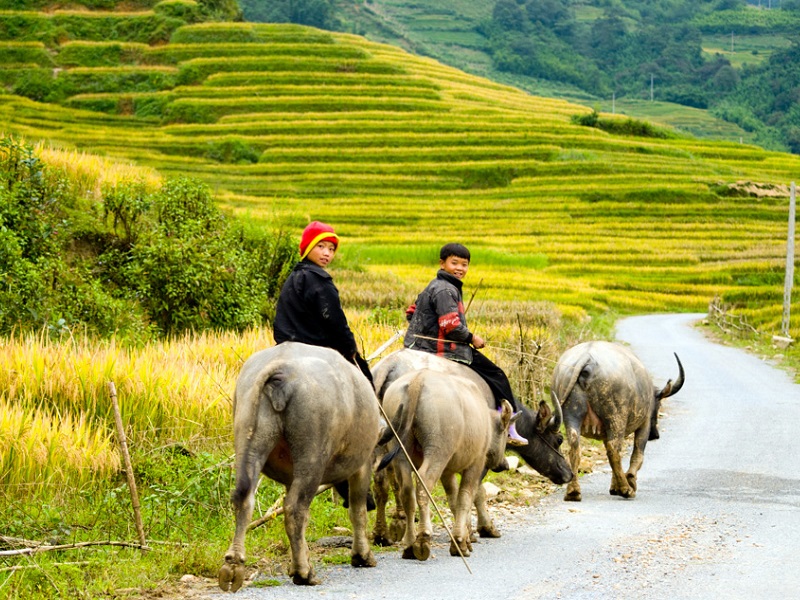 Private, Luxury & SIC tours of Indochina with TransViet Travel